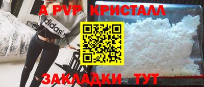 стафф Пенза