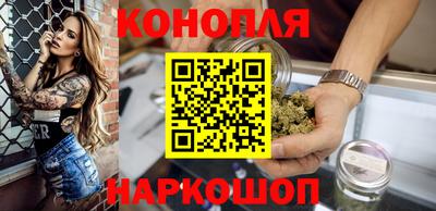 стафф Пенза