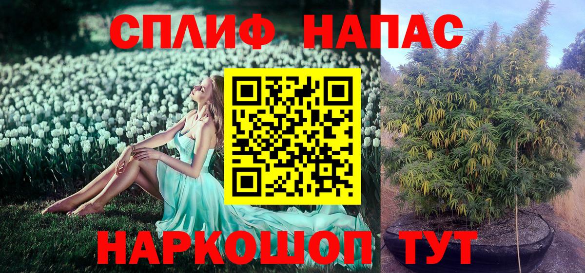 Каннабис Amnesia Пугачёв